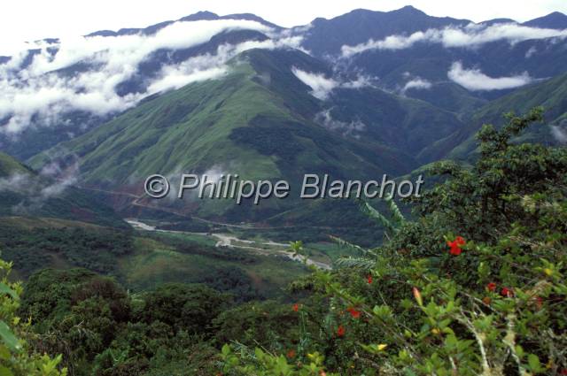 yungas bolivie  15.JPG - PaysageYungas de Bolivie